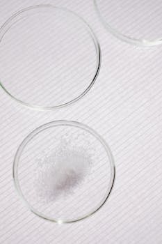 임상연구로 검증된 면역력 강화 식품 TOP 15 완벽가이드